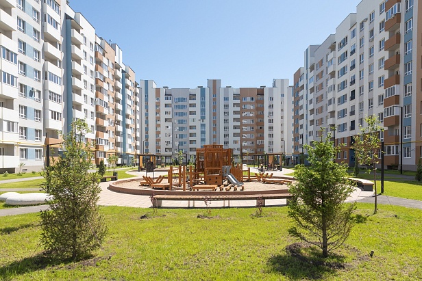 ООО Группа компаний «Древо»